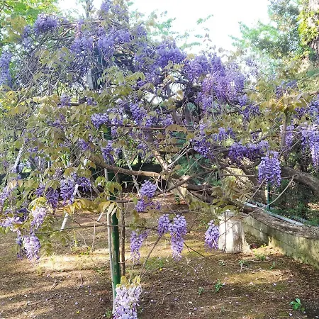 La Casa Di Anna Nel Parco Della Majella Abruzzo Ch